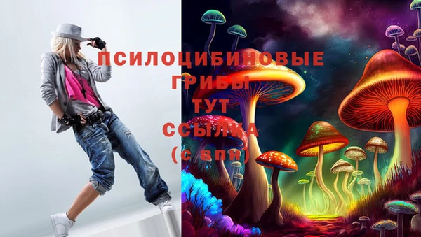 a pvp Арсеньев