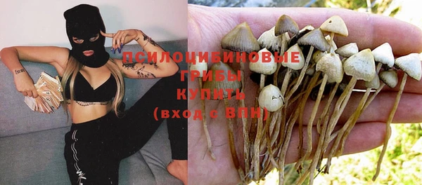 a pvp Арсеньев