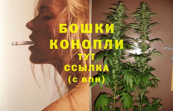 молекула духа Аркадак