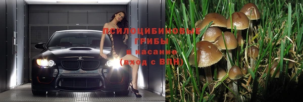 a pvp Арсеньев