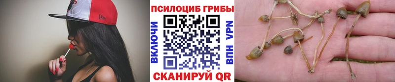 Псилоцибиновые грибы мицелий  мега ONION  Исилькуль 